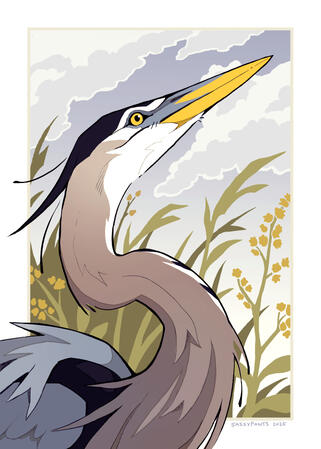 A great blue heron with clouds and seaside goldenrod
