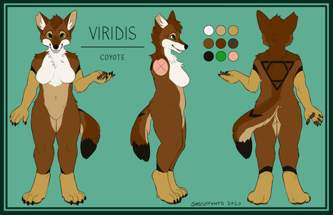 A front, side and back view ref sheet of Viridis, a coyote.