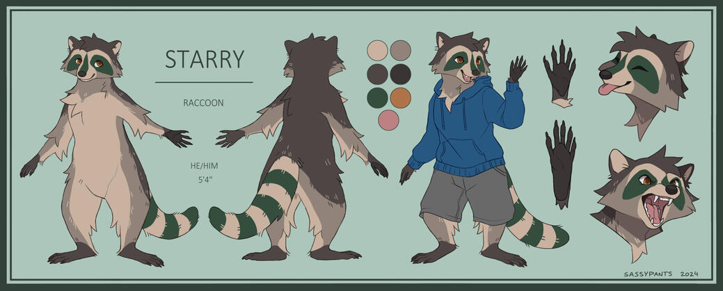 A reference sheet of Starry the raccoon, with clothing extras and paw closeups.